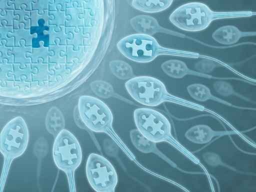 Unveiling Fertility Markers: Amindo Biologics at the Forefront of Accurate Detection