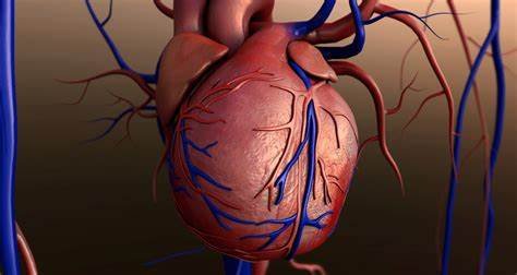 Cardiolipin and Autoimmune Disorders: Understanding the Connection