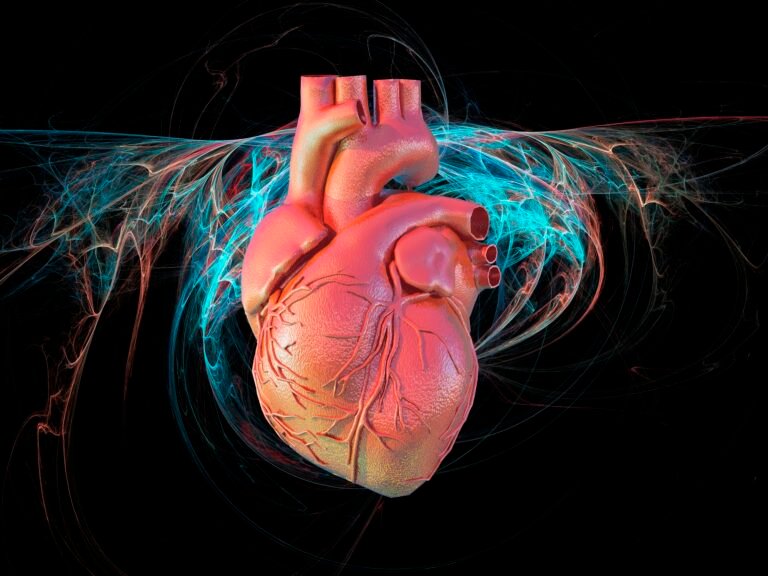 Understanding Cardiovascular Diseases and the Importance of Detection Markers