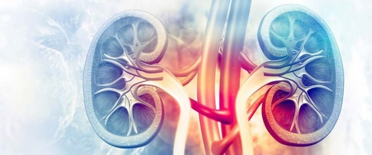 Advanced Renal Injury Diagnosis with ReLIA IFA Kits: NGAL, Cys-C, B2-MG, and MAU Biomarkers from Amindo Biologics