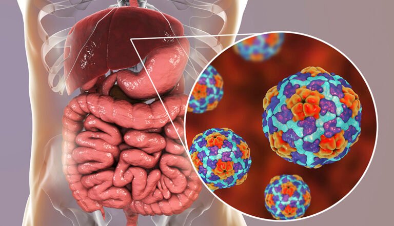 Understanding Hepatitis: Infection, Risks & Diagnostic Solutions by Amindo Biologics