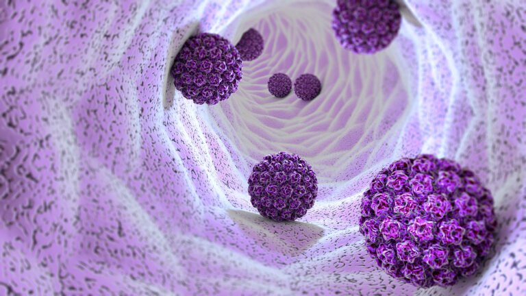 From Collection to Conclusion: HPV RT-PCR Test Workflow