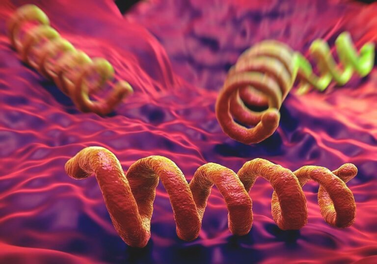 TPHA Test: A Cornerstone in Syphilis Diagnosis