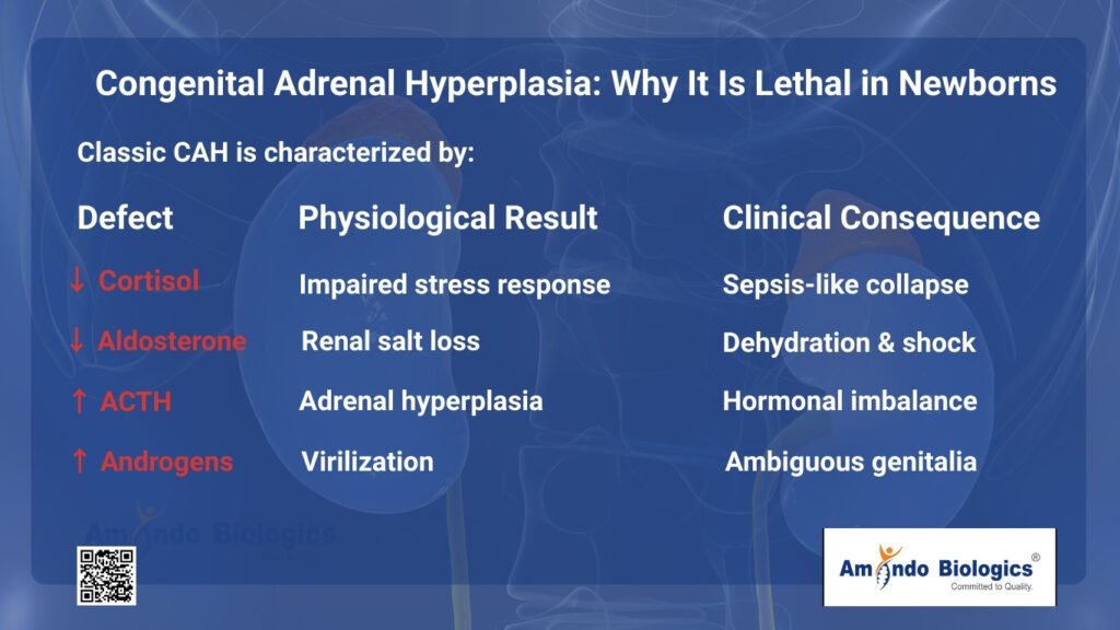 Congenital Adrenal Hyperplasia: Why It Is Lethal in Newborns