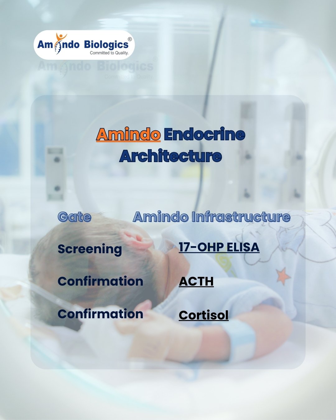 Amindo Endocrine Architecture