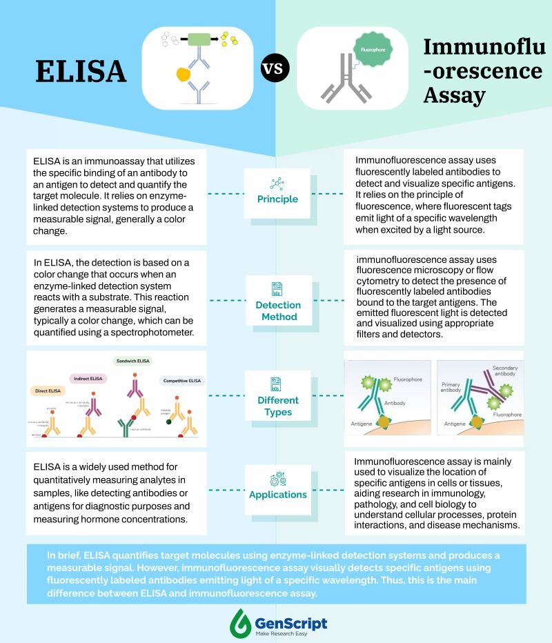 ELISA Vs Immunofluorescence assay