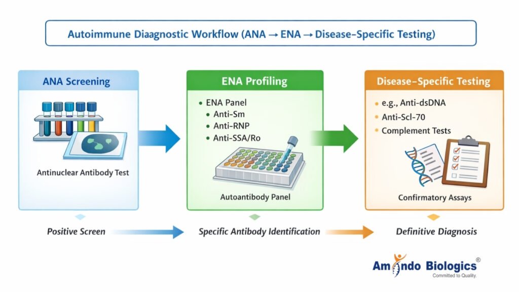 Diagnostic Workflow