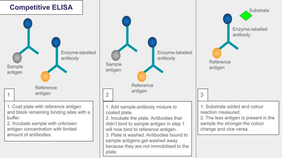 Diagram illustrating how the competitive ELISA works